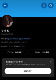 フォロワー2400人！よくバズる！万バズ・千バズ歴あり！！アカウント3つセット