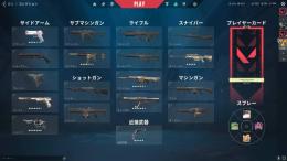 人気スキン多数垢