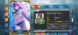 【期間限定値下げ中】人権多数！星5キャラ12種31体所持✨アーキタイプ・水着スカディ宝具5