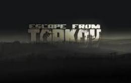 EFT 1000万 ルーブル 導入 代行 最速&複数OK レベル代行対応可