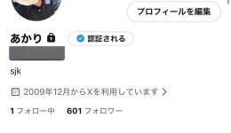 高アクティブ全リアル日本人600↑フォロワー 