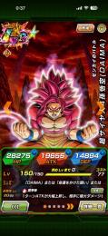 11周年キャラ全所持、ダイマ悟空4虹凸、龍石1000↑