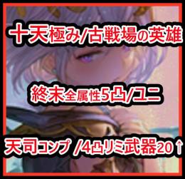 SSR250↑ 十天極み 終末全属性5凸 天司石コンプ 古戦場の英雄 ユニ 賢者8↑