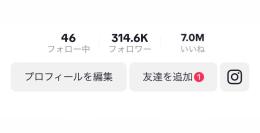 フォロワー30万人超
