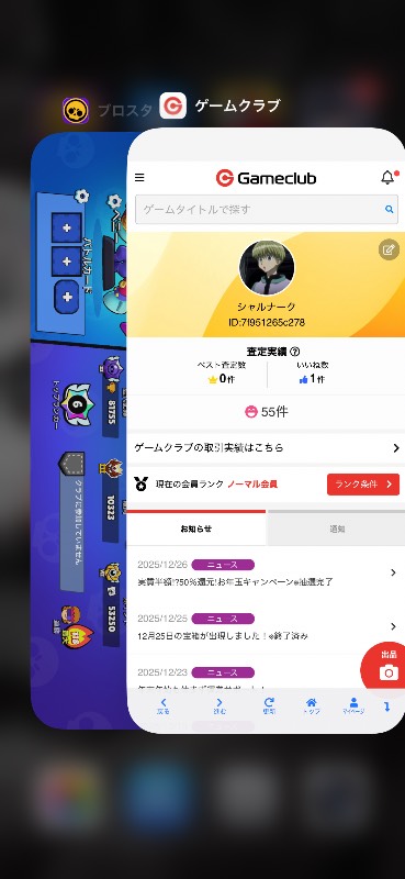 出品画像