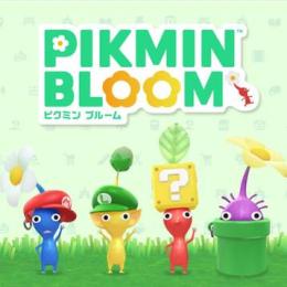 🌱「コイン12500個」最安値 バッグ 複数可 Android/IOS 最速作業🌱