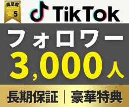 TikTok｜フォロワー＋３０００人 拡散・増加｜【豪華特典付き】保証あり｜実際のユーザー