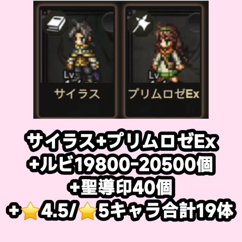 出品画像