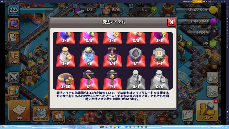 出品画像