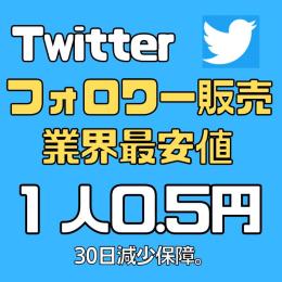 【業界最安値】【期間限定キャンペーン】twitter（X）多国籍1万フォロワー増加