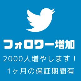 【限定価格】フォロワー増加+2000人