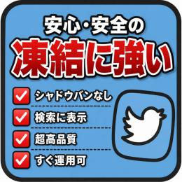 【コスパ最強✨】「シャドウバン無　凍結に強い🔥検索で話題に即載る新規垢✕10個セット