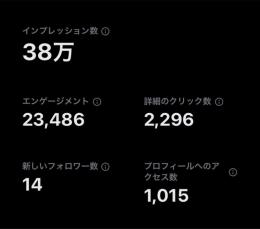 日本人フォロワー1250人 最高インプ38万