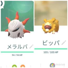 東京産通常メラルバ♀　東京産色違いビッパ　アカウント販売
