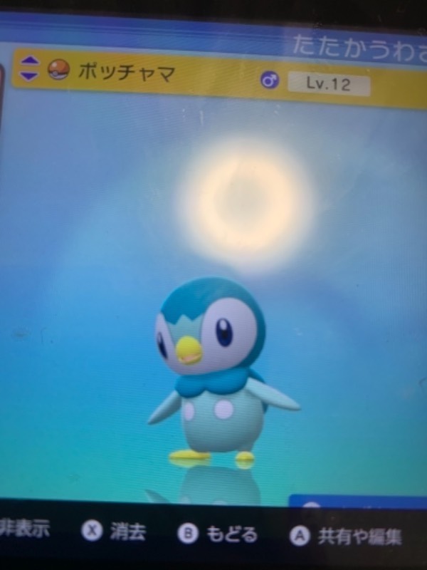 色違いポッチャマです ポケモンbdsp ゲームクラブ