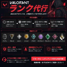 【PC】代行,即日納品 イモータルまで1800円