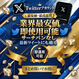 ✨最安値✨検索・最新に載る高品質Twitter(X)アカウント[即購入可]