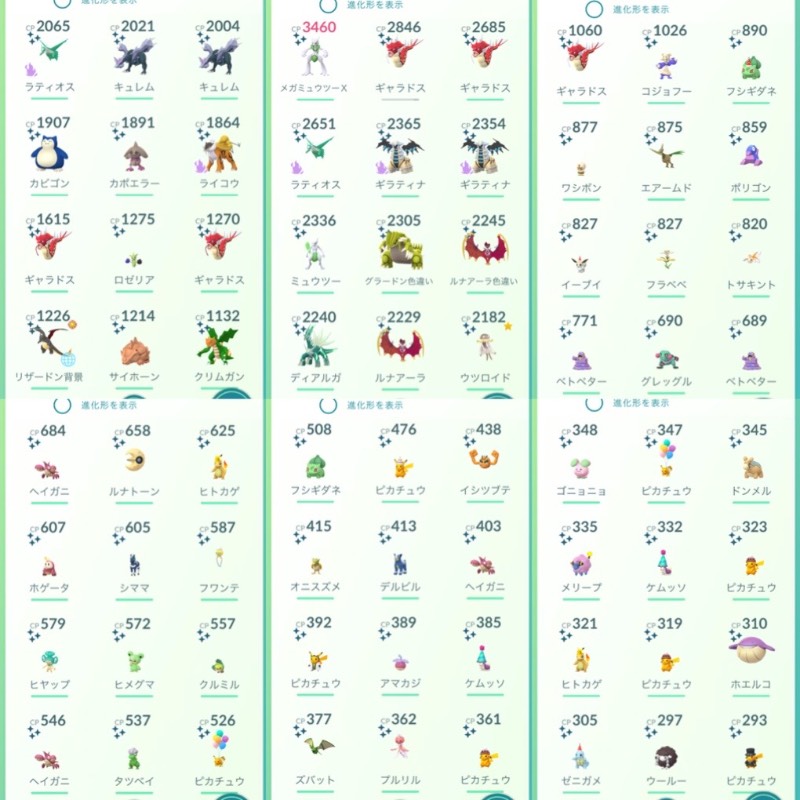 出品画像