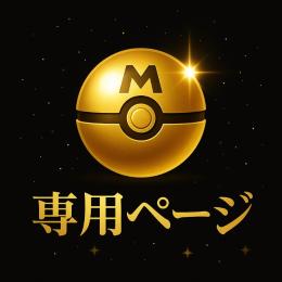 げーぴあ様専用