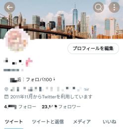 Twitter日本人フォロワー約18000人↑ / 平均いいね270