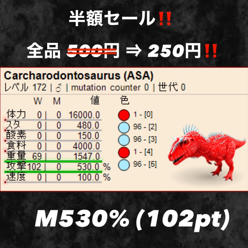 出品画像