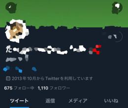 【業者最安値/リアユザ】フォロワー 1110人