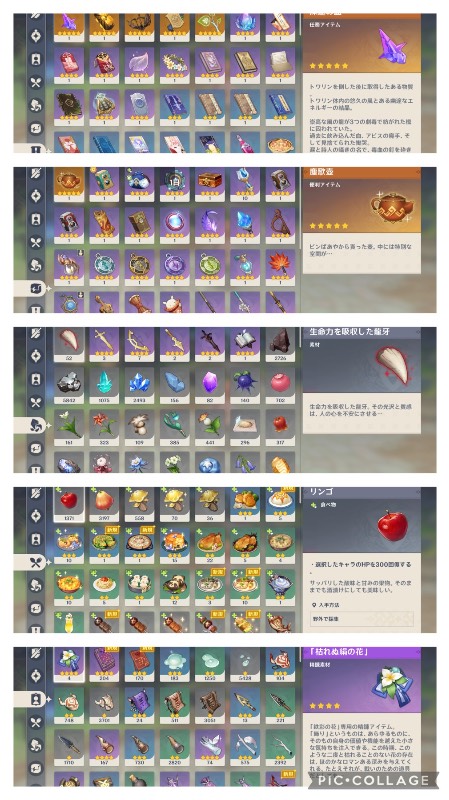 出品画像