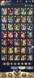 VIP13 格安