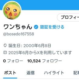 【値下げ中】Twitterアカウント フォロワー10000人 高インプレッション 高いいね