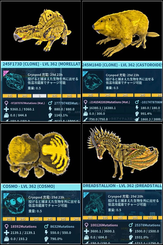 出品画像