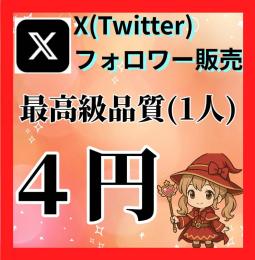 【最高品質】X(Twitter)フォロワー販売/業界最安値/補償付き/即日対応/秘密厳守