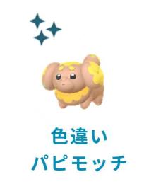 《すぐ購入可能》色違いパピモッチ１体(国産)