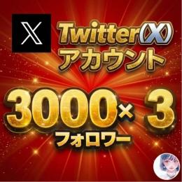 【3000フォロワー×3】10%OFFの限定セット！信頼性抜群アクティブ垢