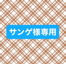 サンゲ様専用