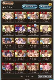 引退垢 ヴェルサシア所持 全属性神石230↑