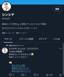 日本人相互垢 ﾌｫﾛﾜｰ100↑ スタートアップ垢 オールグリーン