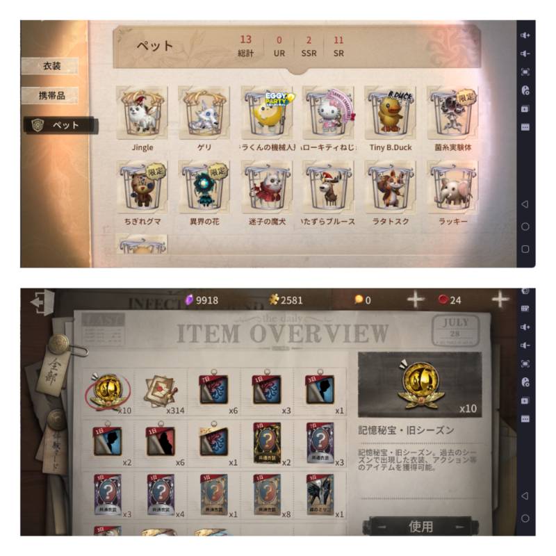 出品画像