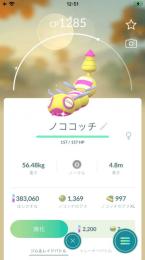 ぎるきんさま専用