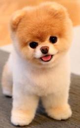 14万人tiktokアカウント