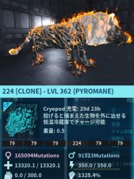 公式pve 224/79 パイロメイン🦁