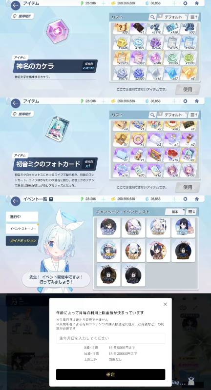出品画像