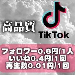 【業界最安値】TikTok激安プラン