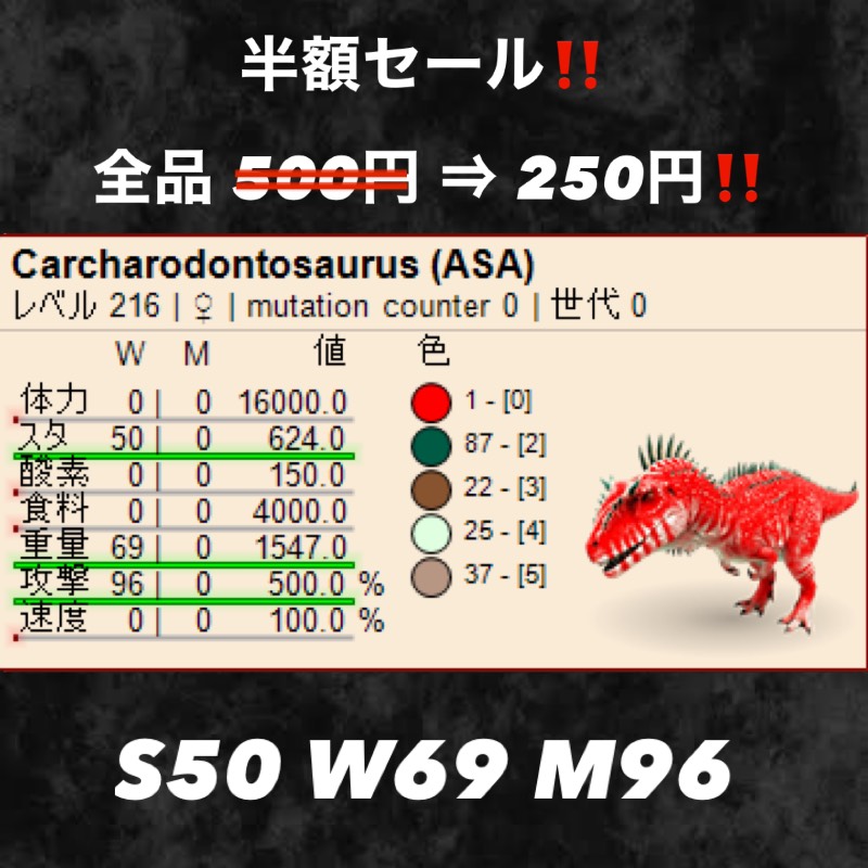 出品画像