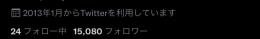 超希少フォロワー15000気取り｜即お渡し✅