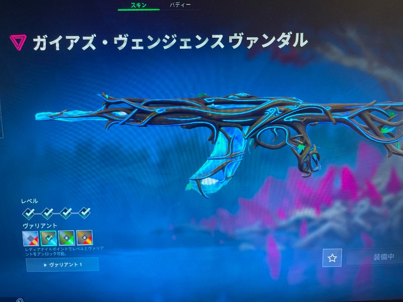 出品画像