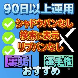 5個セット 90日以上運用X（Twitter）アカウントフォロワー200人以上検索表示可