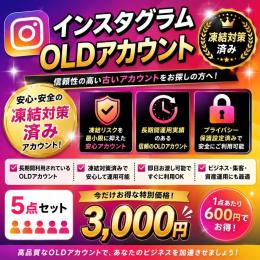【1年i以上前oldアカウント】Instagram 2fa済み　5個セット