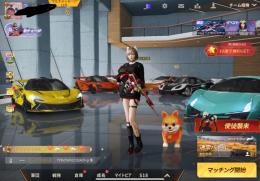 超絶破格！赤字確定！金枕 武器豊富 神垢