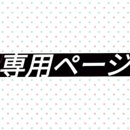 イーブイさん　専用　  ゴーフェス2023乱獲分