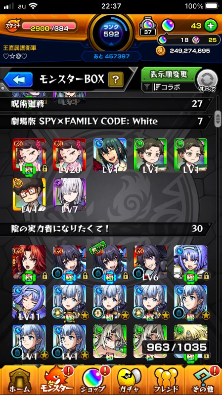 出品画像
